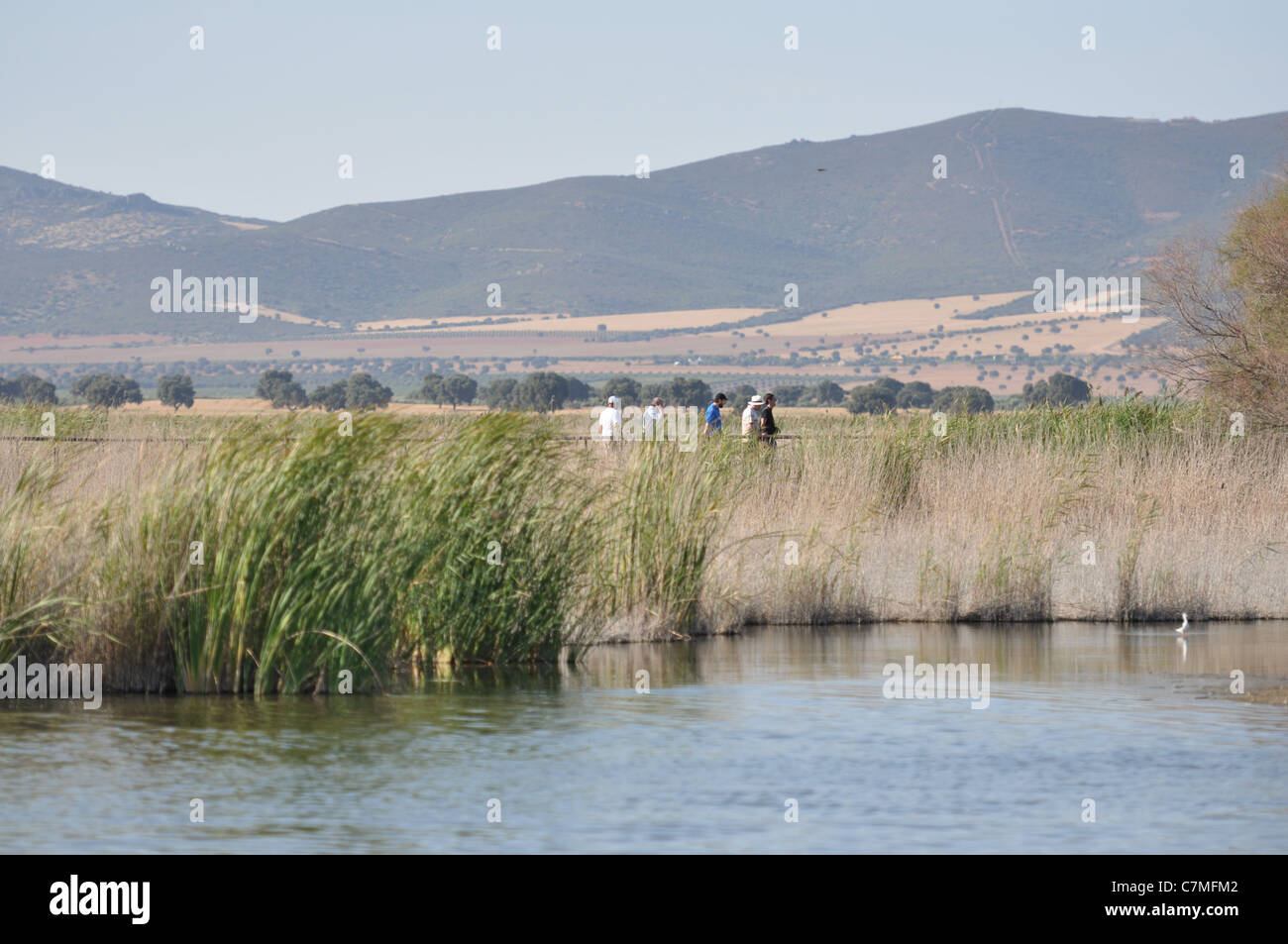 Parque Nacional de las Tablas de Daimiel Castilla Spagna Foto Stock