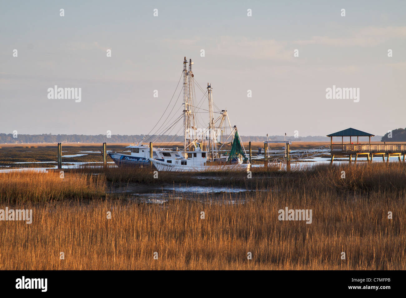 Gamberetti è legato nell'ultima luce nel mare di marsh Intracoastal Waterway. Foto Stock