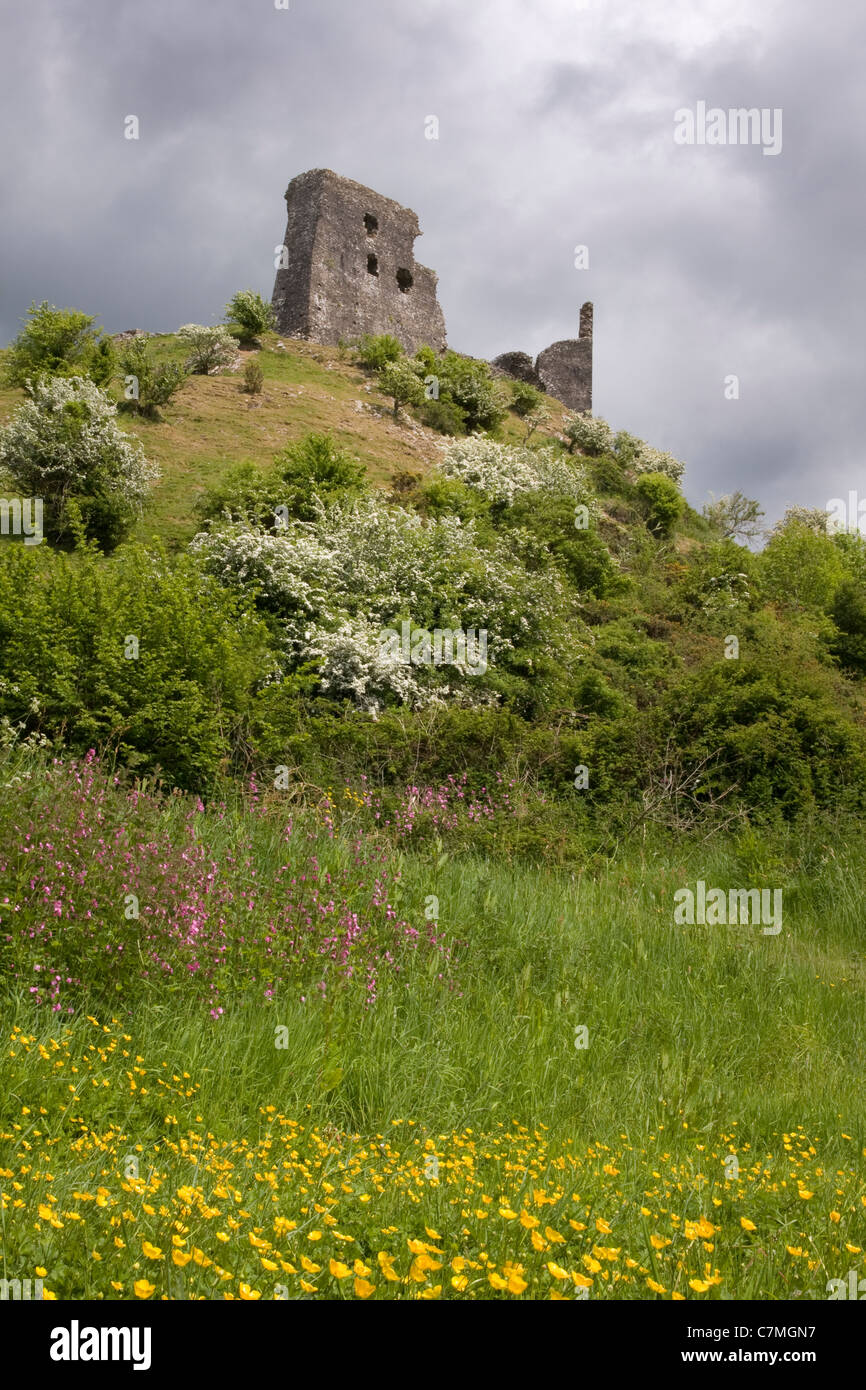 Il castello di Dryslwyn , Carmarthenshire, Galles del Sud Foto Stock