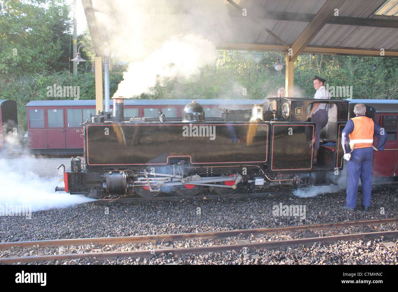 Bure Valley Railway xxi anniversario Gala vapore Settembre 2011 Foto Stock