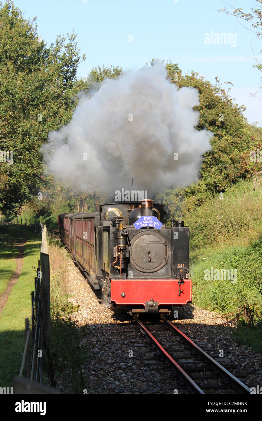 Bure Valley Railway xxi anniversario Gala vapore settembre 2011, BVR 8 Thunder 2-6-2 locomotiva del serbatoio Foto Stock