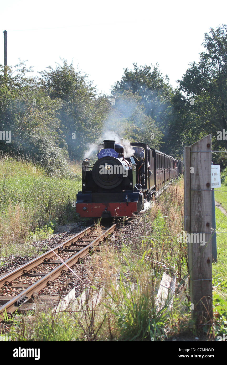 Bure Valley Railway xxi anniversario Gala vapore settembre 2011, Blicking Hall Foto Stock