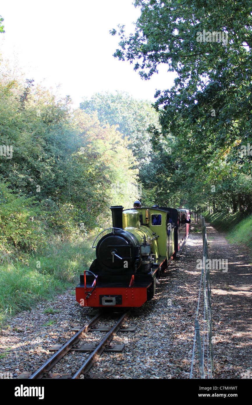 Bure Valley Railway xxi anniversario Gala vapore Settembre 2011 Northern Rock Foto Stock