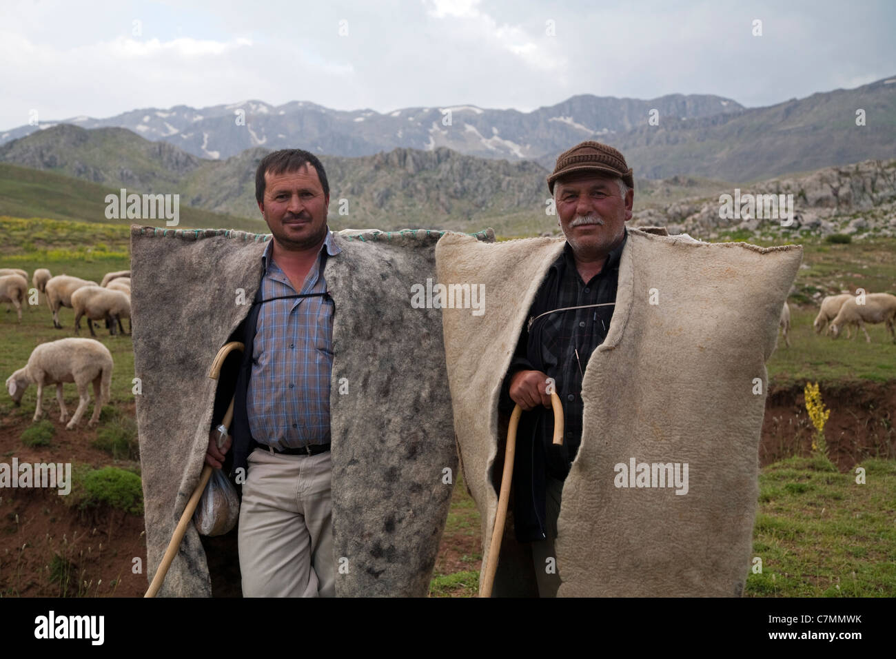 Le popolazioni nomadi Manavgat malgari in montagne Geyik Akseki Turchia Antalya Foto Stock