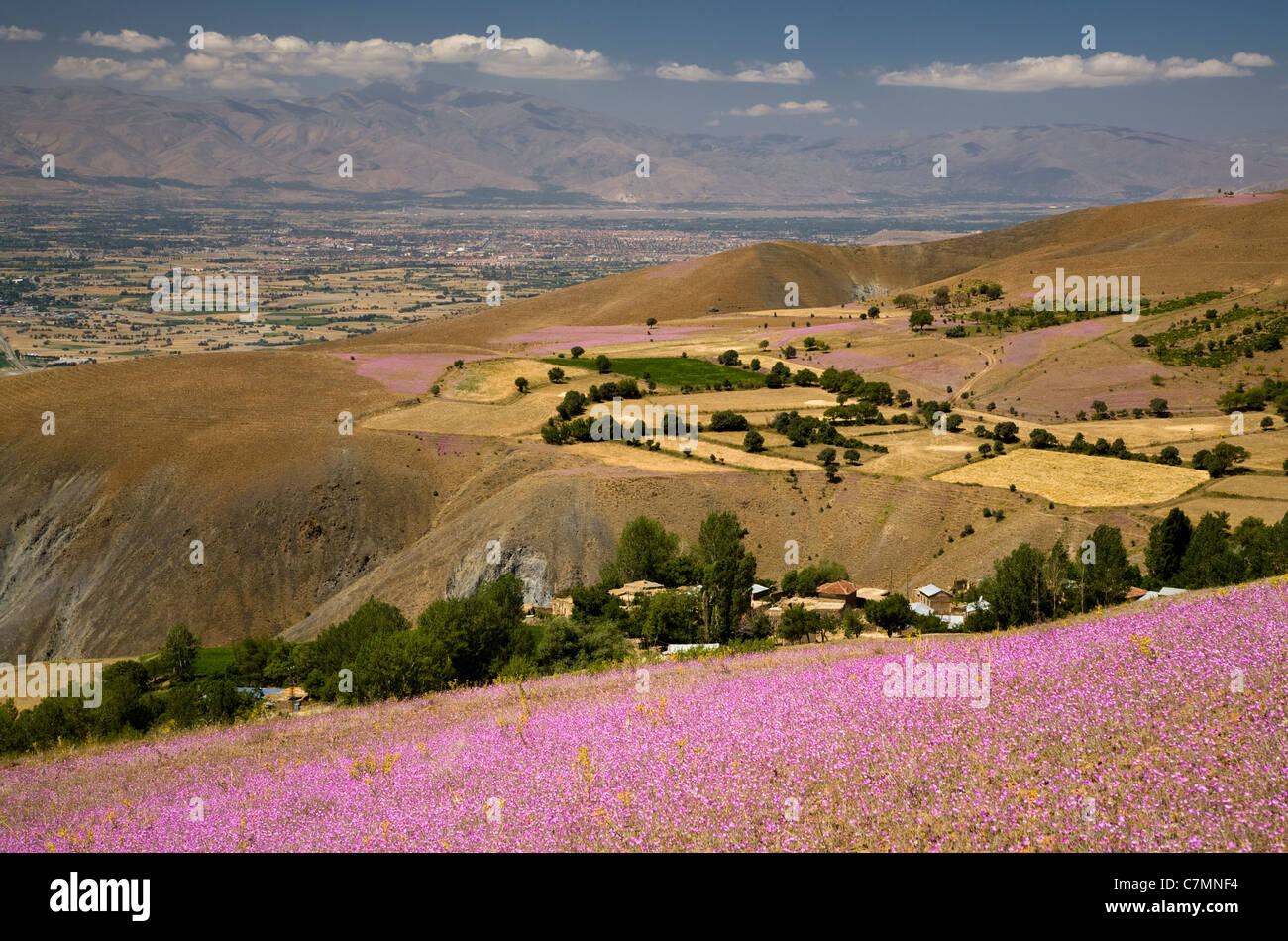 Vista panoramica della Valle di Karasu Erzincan Turchia Foto Stock