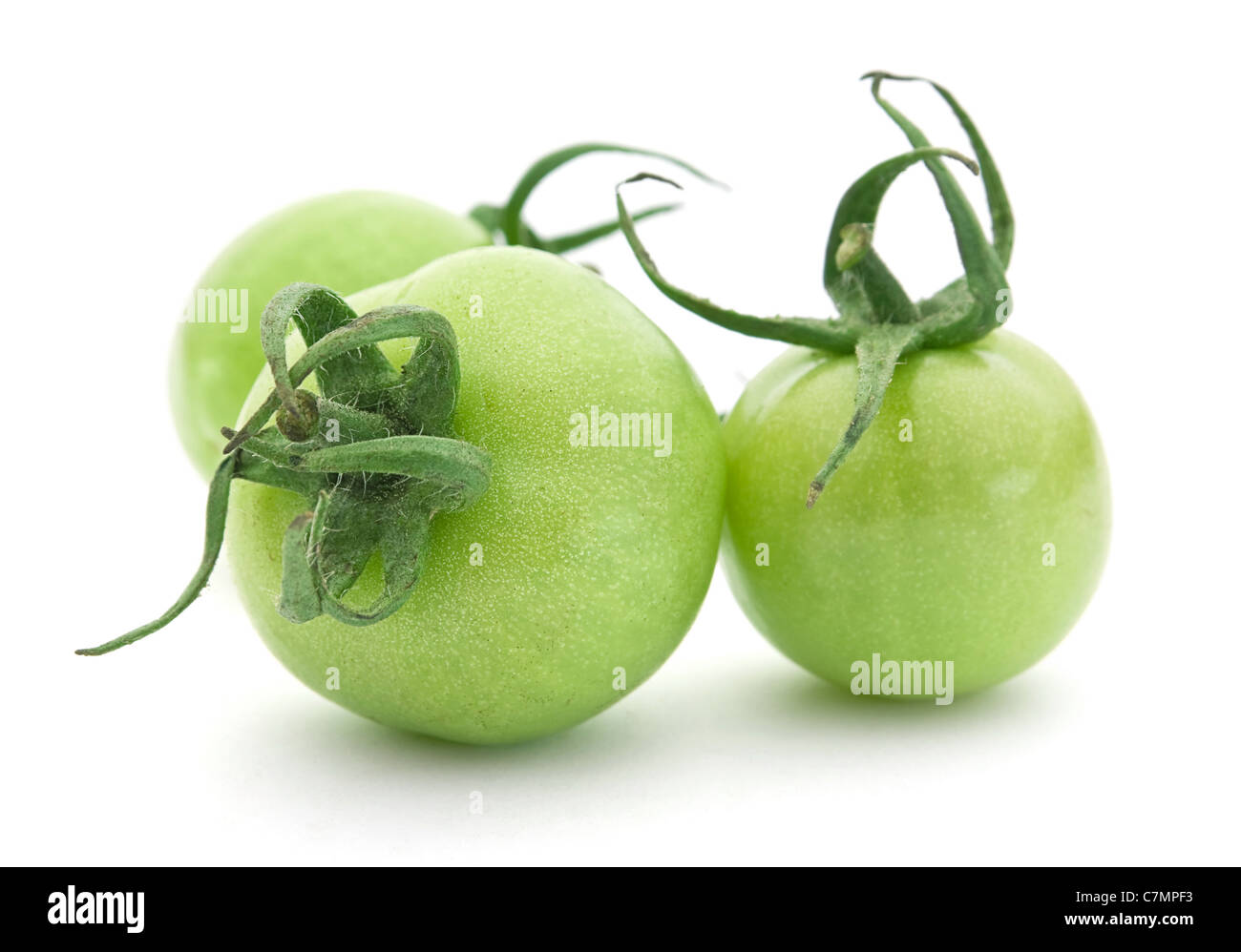 Il verde di materie vegetali di pomodoro su sfondo bianco Foto Stock