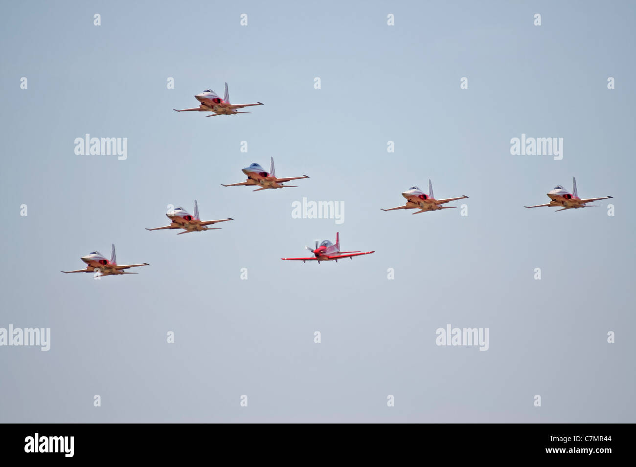 Patrouille Suisse aerobatic team display nel loro F-5E Tiger II aerei Foto Stock