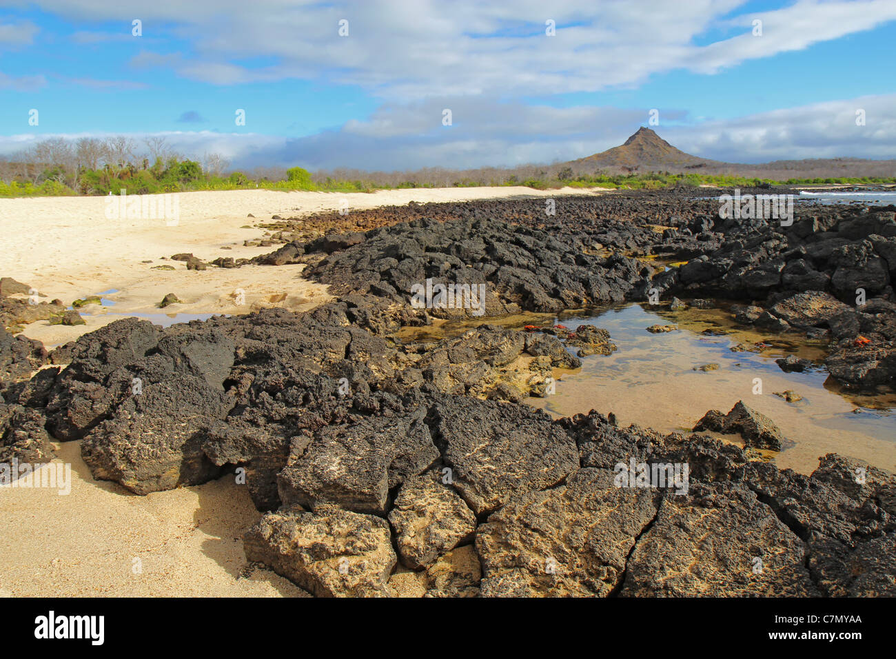 Vista di una costa rocciosa, granchi rossi e Dragon Hill in background di Isola di Santa Cruz, Galapagos National Park, Ecuador Foto Stock