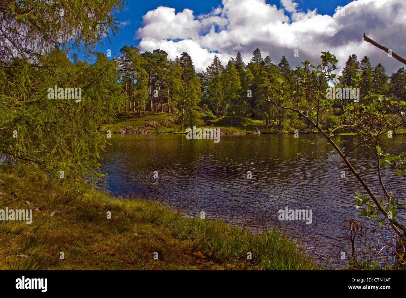 Tarn Howes nr Keswick Lake District Cumbria Regno Unito Foto Stock