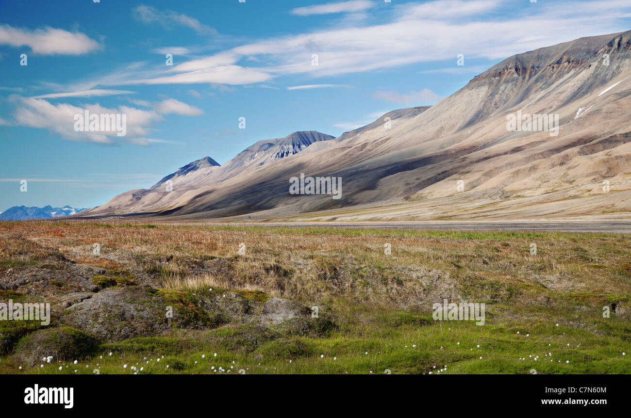 Adventdalen al di fuori di Longyearbyen, Svalbard, in estate Foto Stock