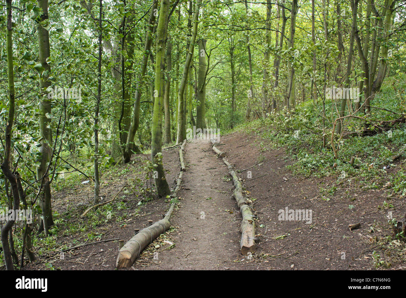 Percorso nel castello di legno di colline, Gainsborough, Lincolnshire Foto Stock