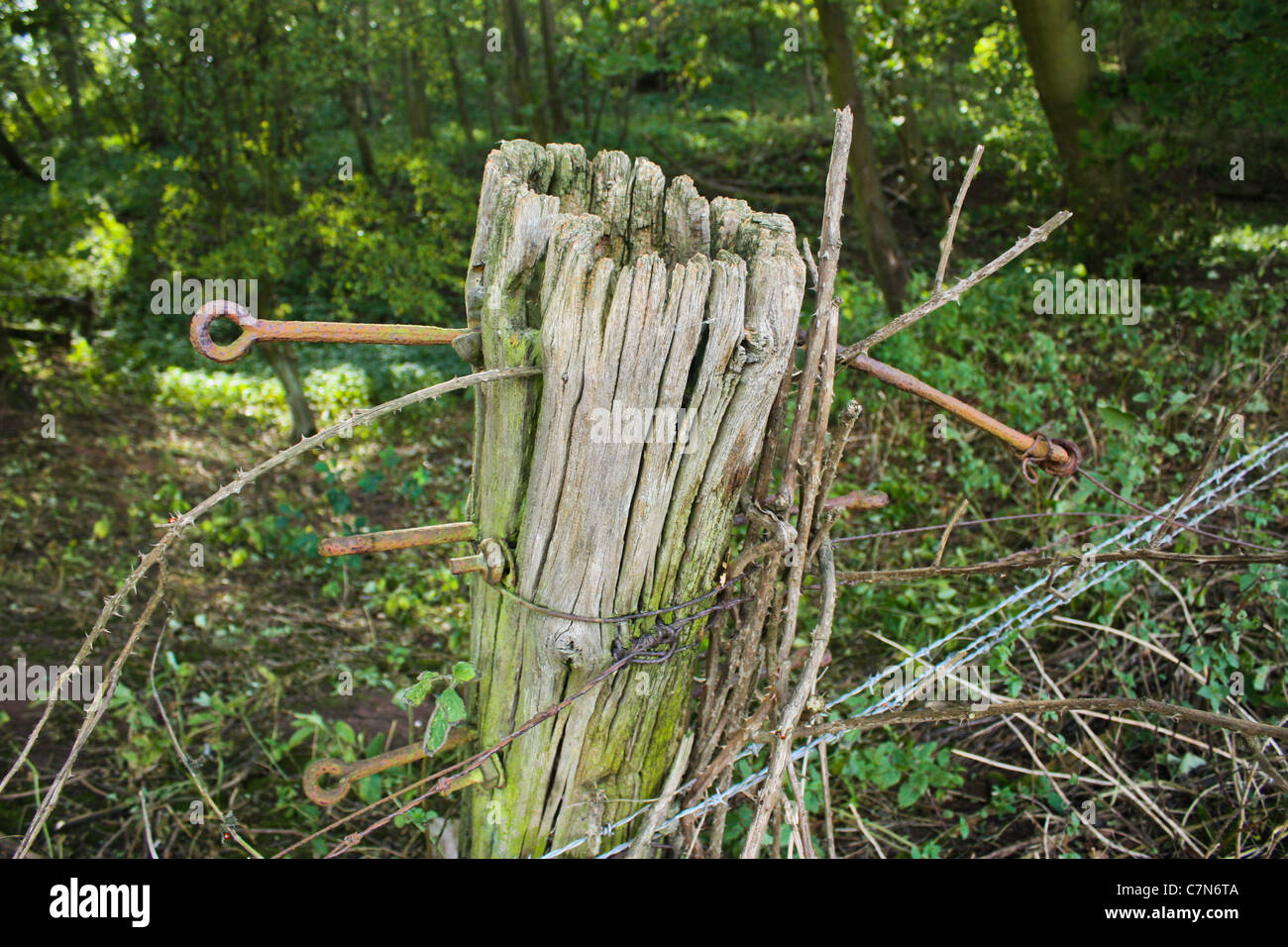 Palo da recinzione di difesa sul bordo della collina del castello di legno, Gainsborough, Lincolnshire, Foto Stock