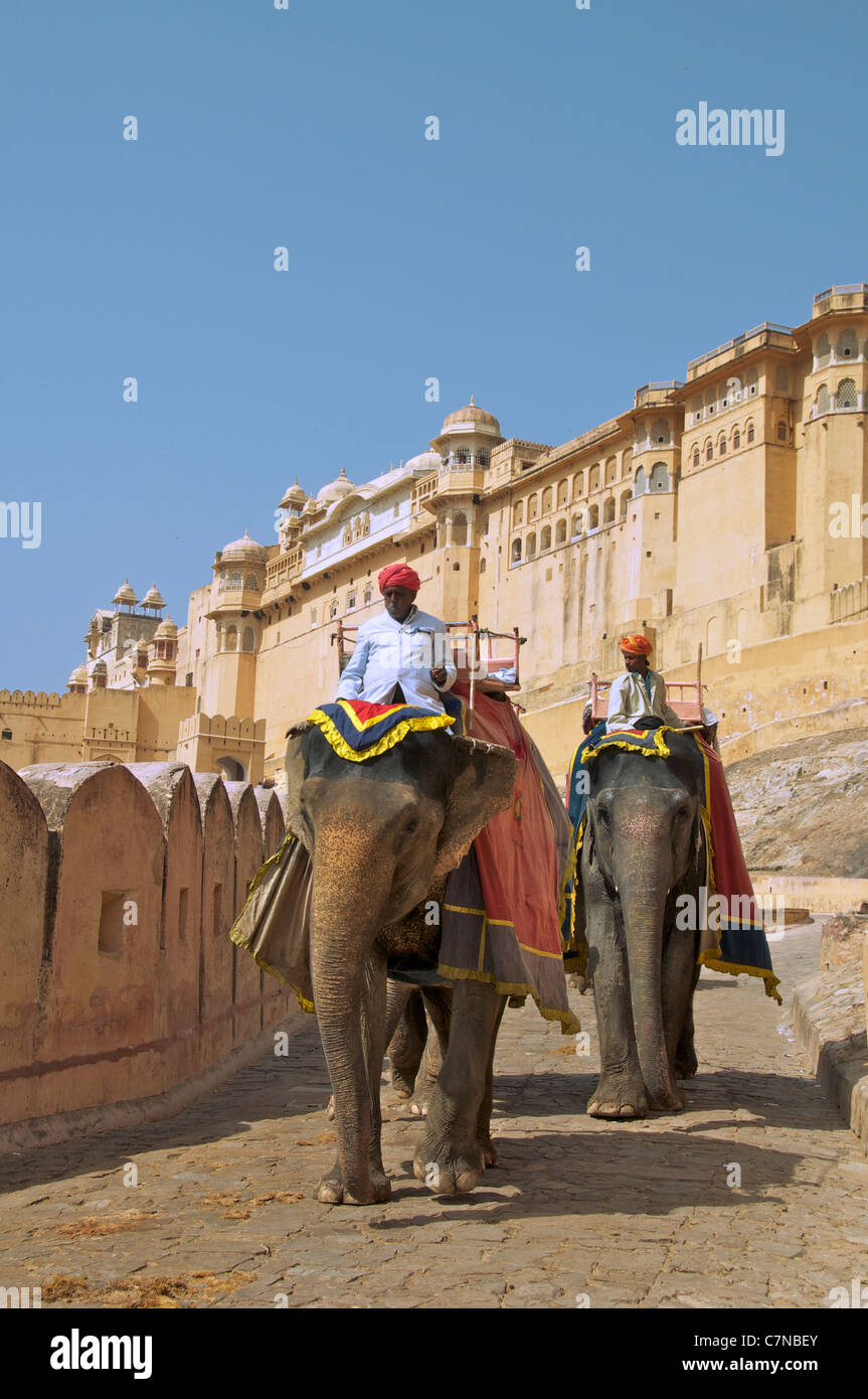 Gli elefanti e mahouts Ambra Palace Rajasthan in India Foto Stock