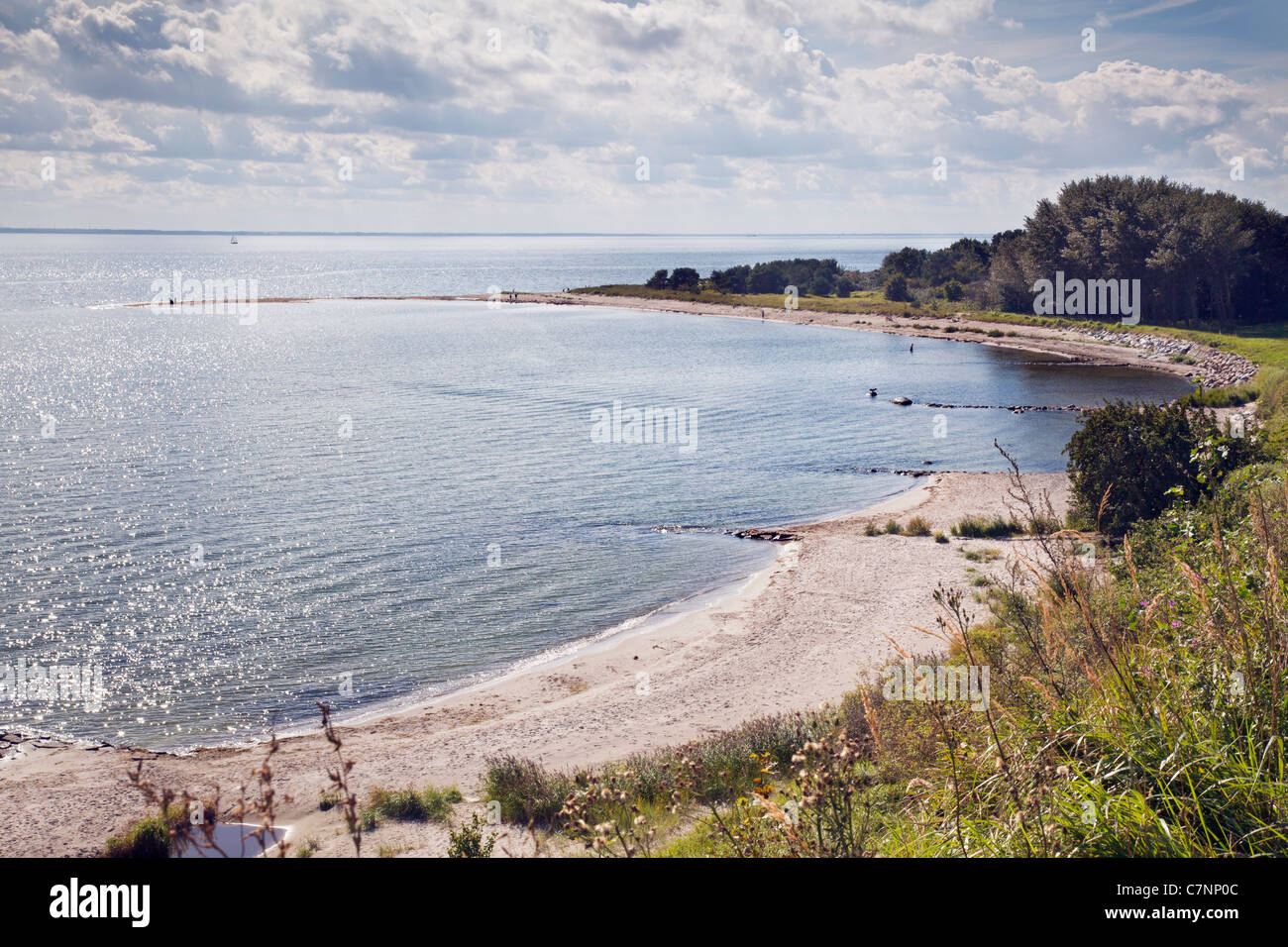 Spiaggia a Thiessow sulla penisola Monchgut, Ruegen, Mecklenburg Vorpommern, Germania Foto Stock