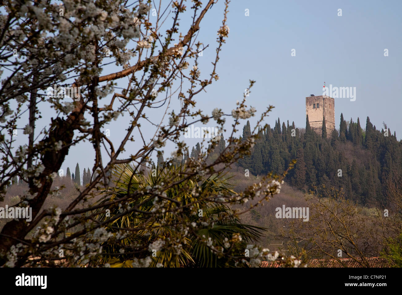 Torre di castello, fortezza - La Rocca, Solferino, Italia - Memoriale di guerra, la battaglia per la seconda guerra d'Indipendenza italiana, 24 giugno 1859 Foto Stock