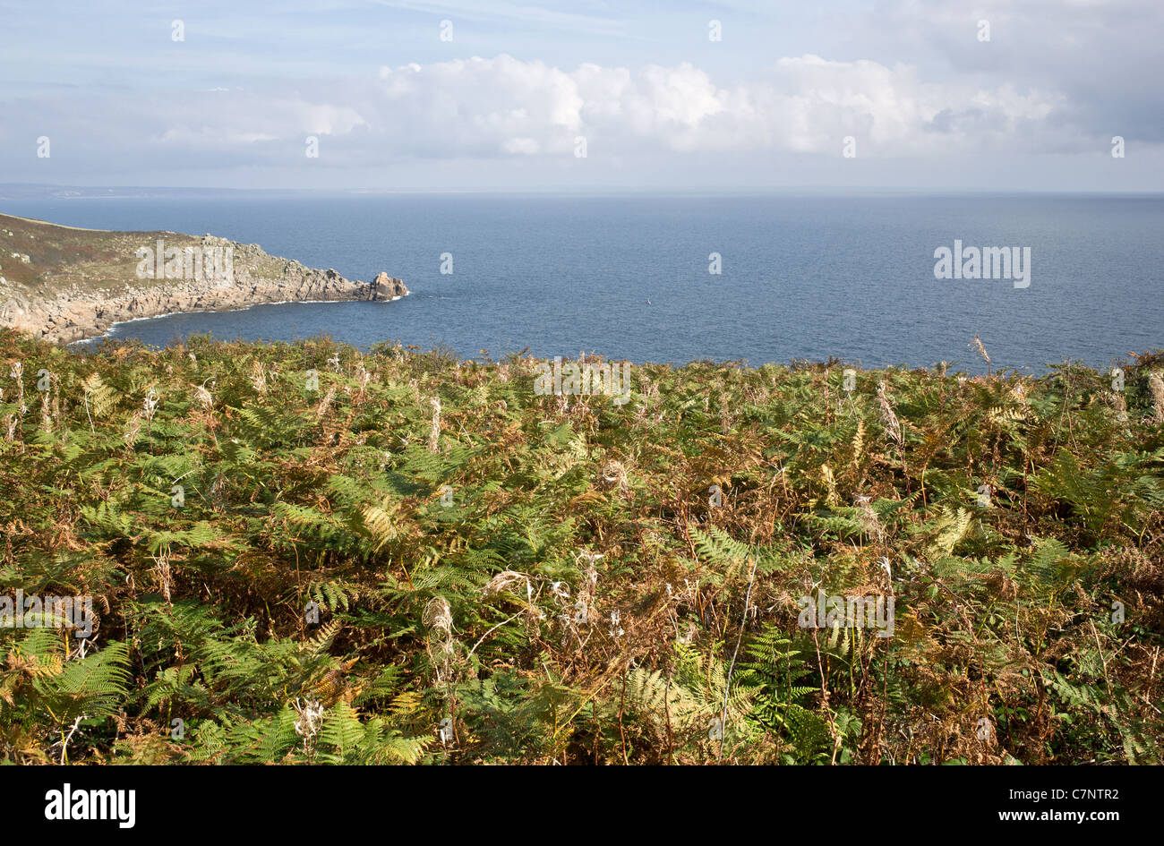 Il litorale della Cornovaglia Foto Stock