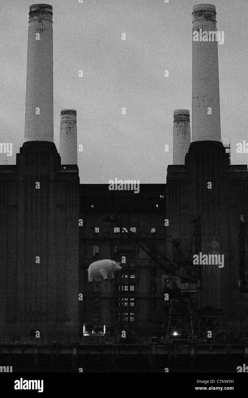 Suini di un'ala. Pink Floyd volare i loro suini iconica over Battersea Power Station, 35 anni. Battersea. Londra. 26/09/2011. Foto Stock