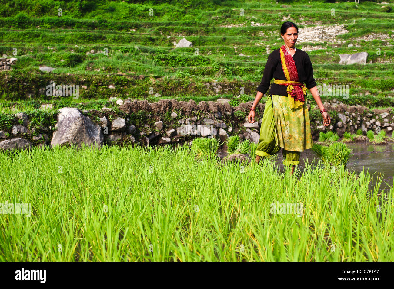Una donna Indiana che opera in lei i campi sulle rive del Gange (Bhagirathi) river a Uttarkashi Foto Stock