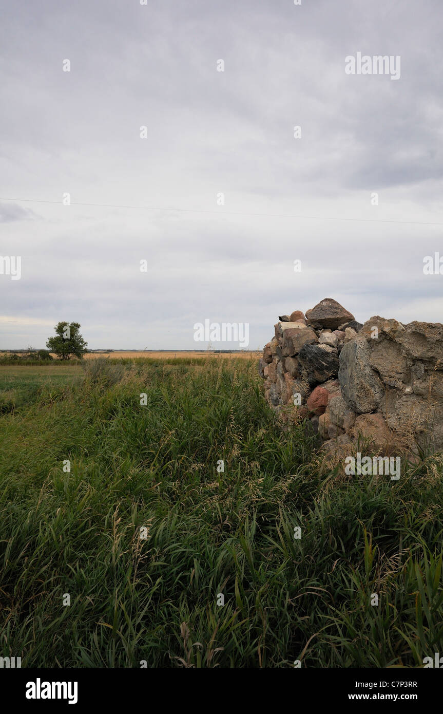 Le rovine di un abbandonato homestead, Saskatchewan in Canada. Foto Stock