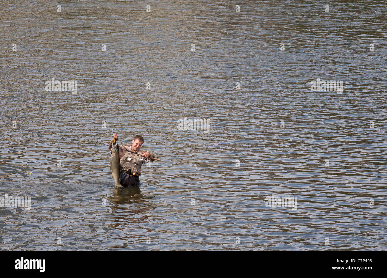 Pescatore con Salmone Chinook nel gran fiume nel centro di Grand Rapids Foto Stock