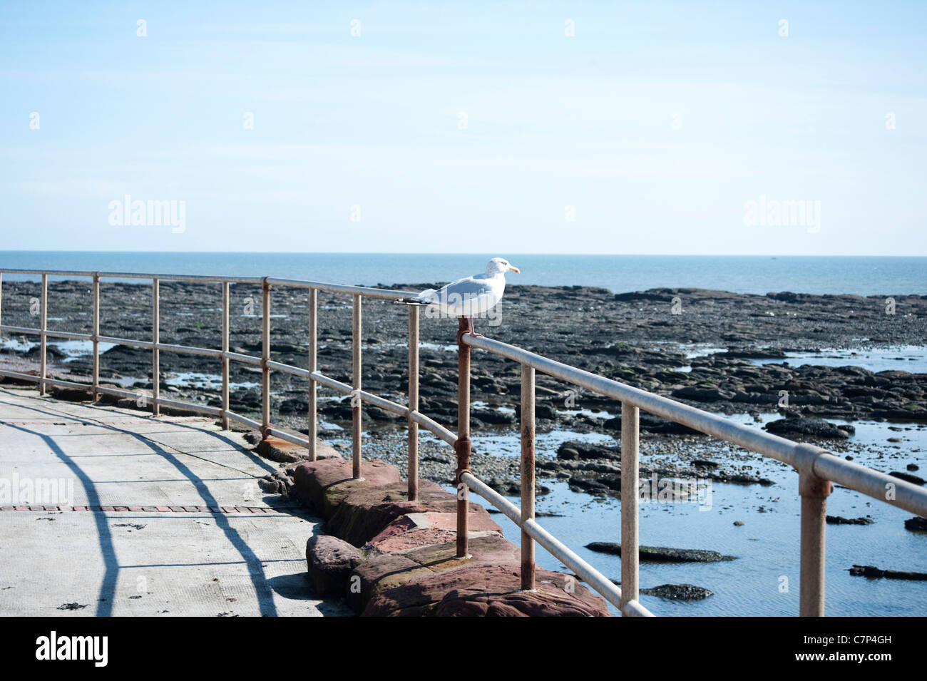 Una vista da Arbroath Abbey, Scozia Foto Stock