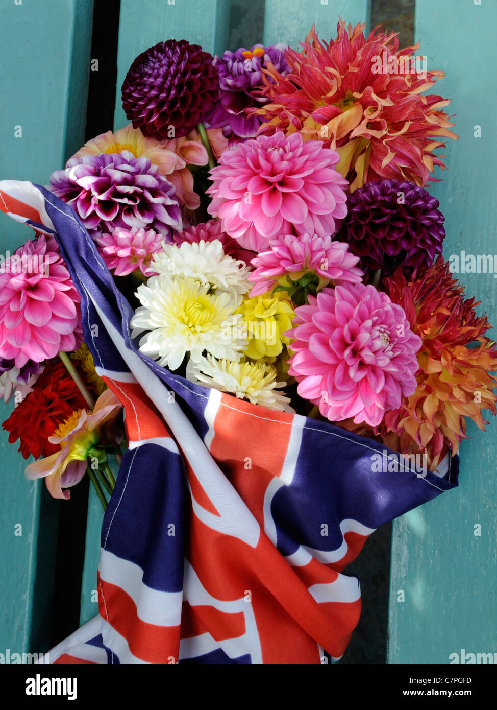 Un mazzetto di fiori dahlia in una unione jack flag Foto Stock