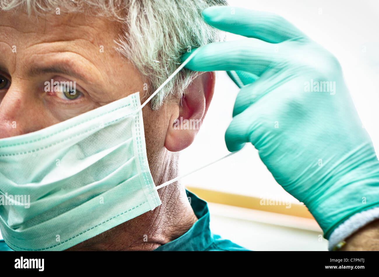 Dentista a mettere su la maschera per il viso Foto Stock