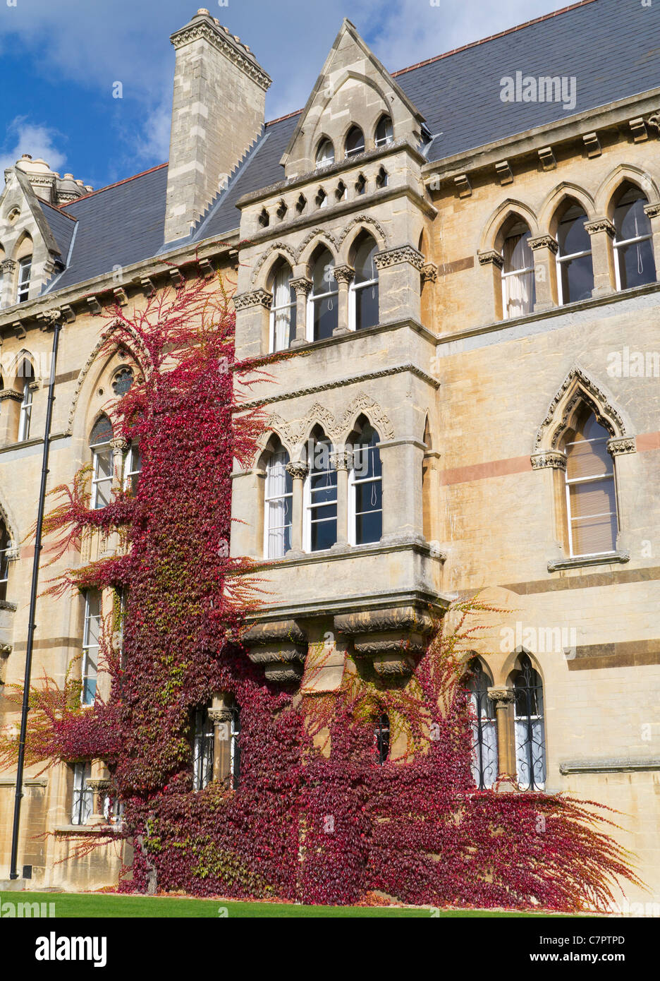 Edera sulle pareti del Christ Church College di Oxford in autunno 9 Foto Stock