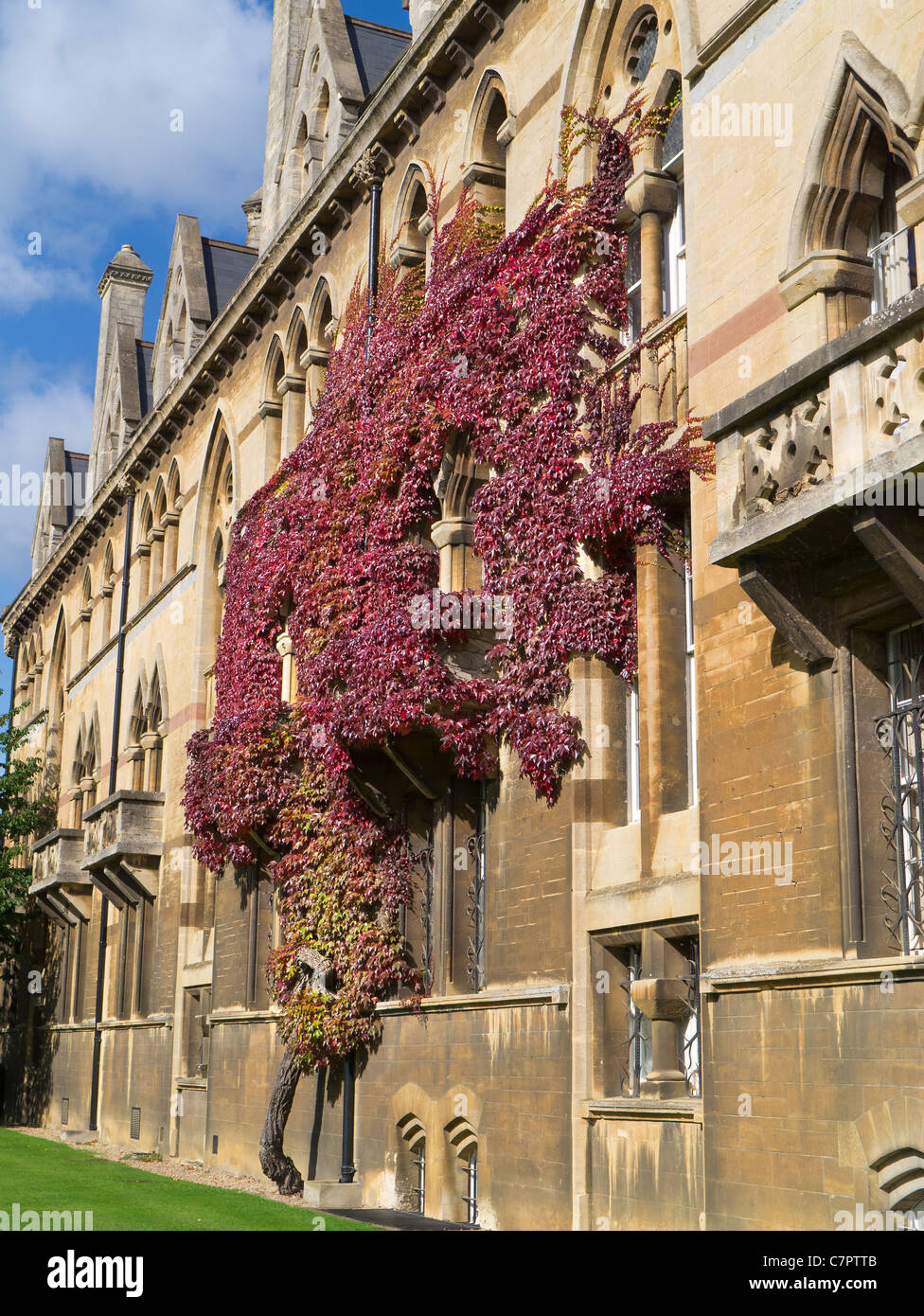 Edera sulle pareti del Christ Church College di Oxford in autunno 10 Foto Stock