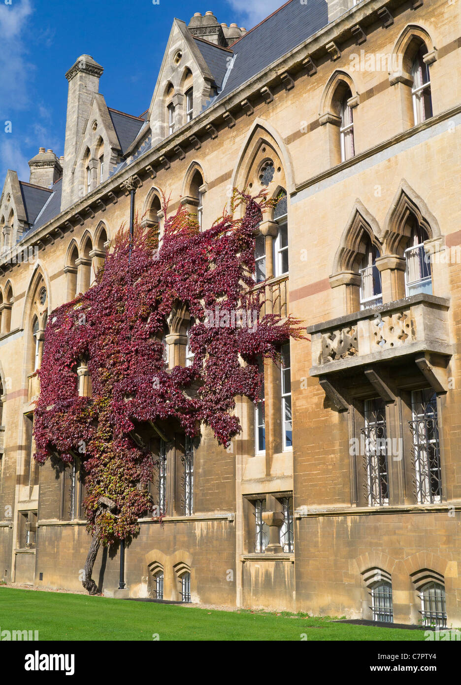 Edera sulle pareti del Christ Church College di Oxford in autunno 11 Foto Stock