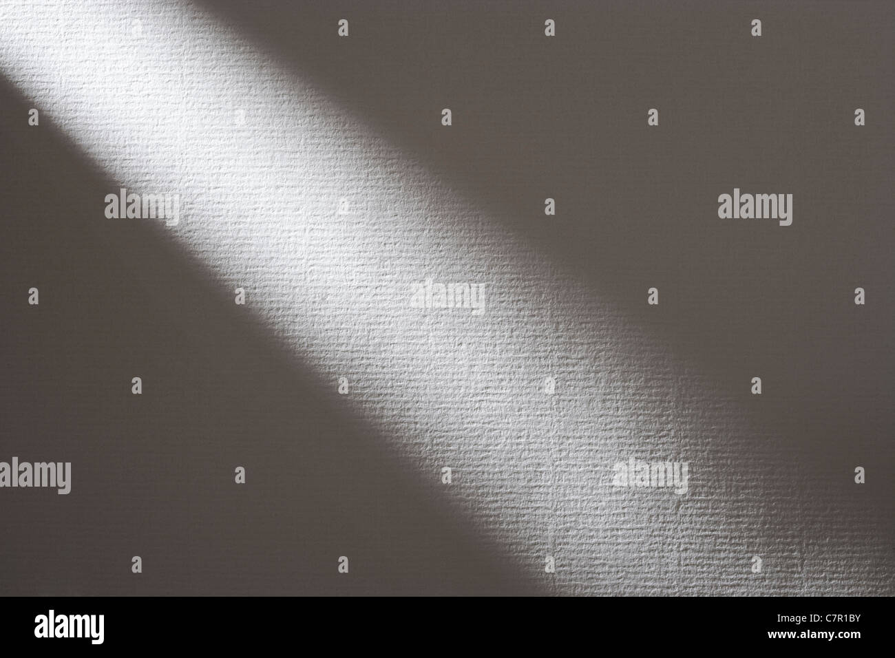 Albero della luce attraverso bianco carta testurizzata. Foto Stock