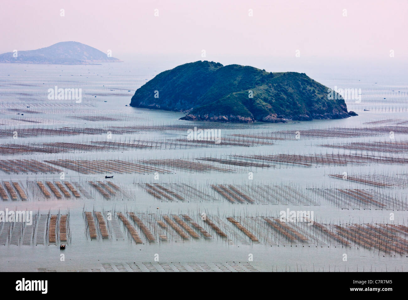 Fattoria di alghe marine sulla spiaggia a est dal Mar Cinese Orientale, Xiapu, provincia del Fujian, Cina Foto Stock