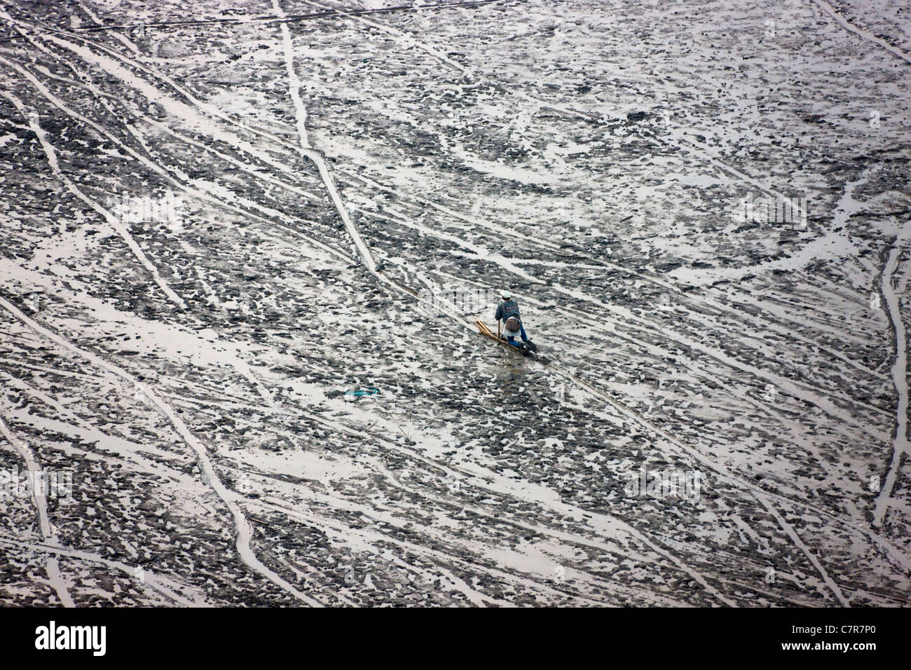 Uomo che fa acquacoltura sul fango beach, a est dal Mar Cinese Orientale, Xiapu, provincia del Fujian, Cina Foto Stock