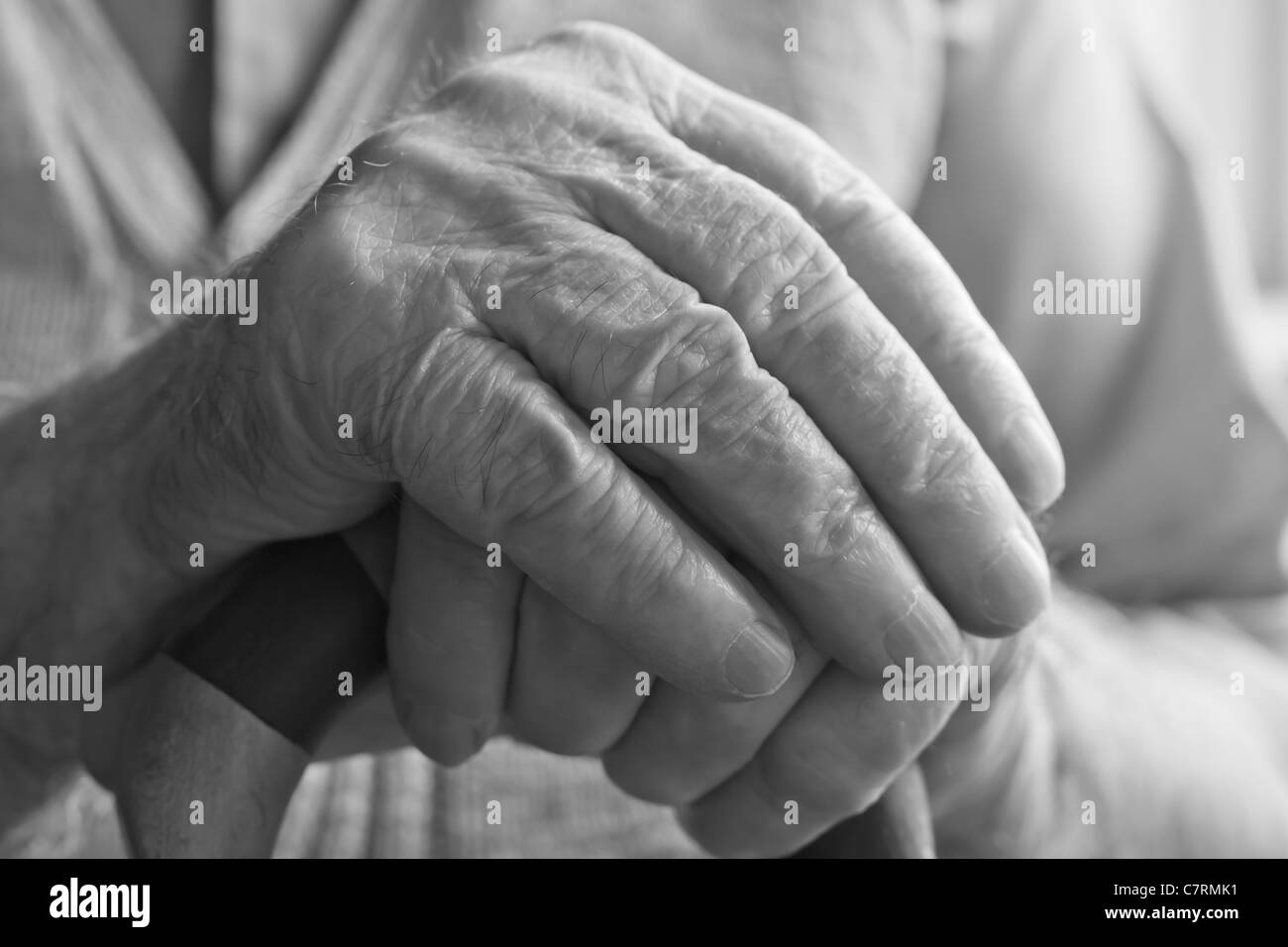 Le mani di un anziano uomo con una canna da zucchero Foto Stock