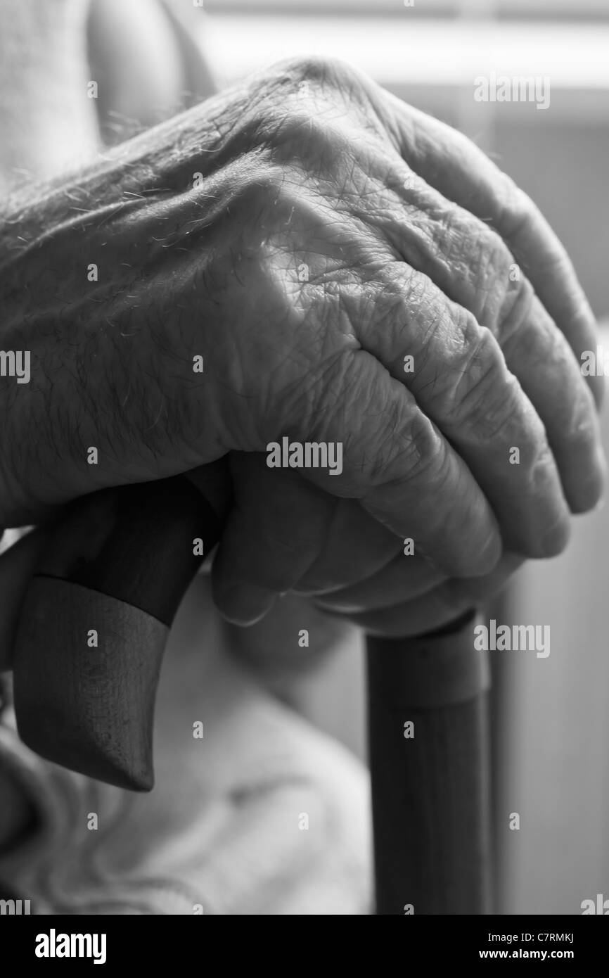 Le mani di un anziano uomo con una canna da zucchero Foto Stock