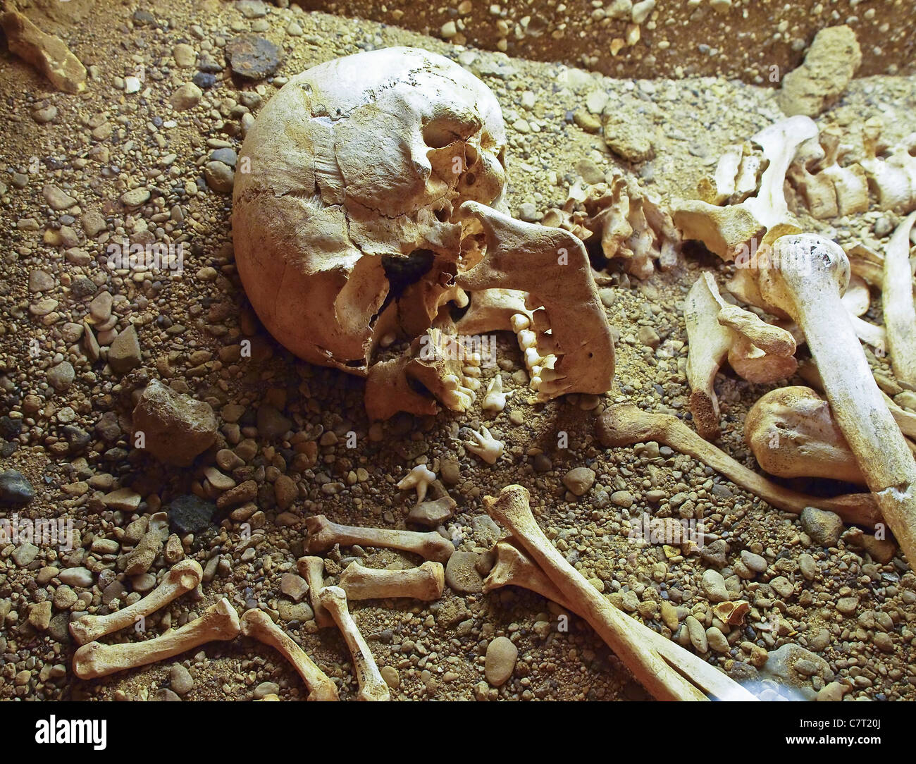 Resti umani nella ricreazione di un scavo archeologico, Pitt Rivers Museum, Oxford, Inghilterra, Regno Unito, Europa. Foto Stock