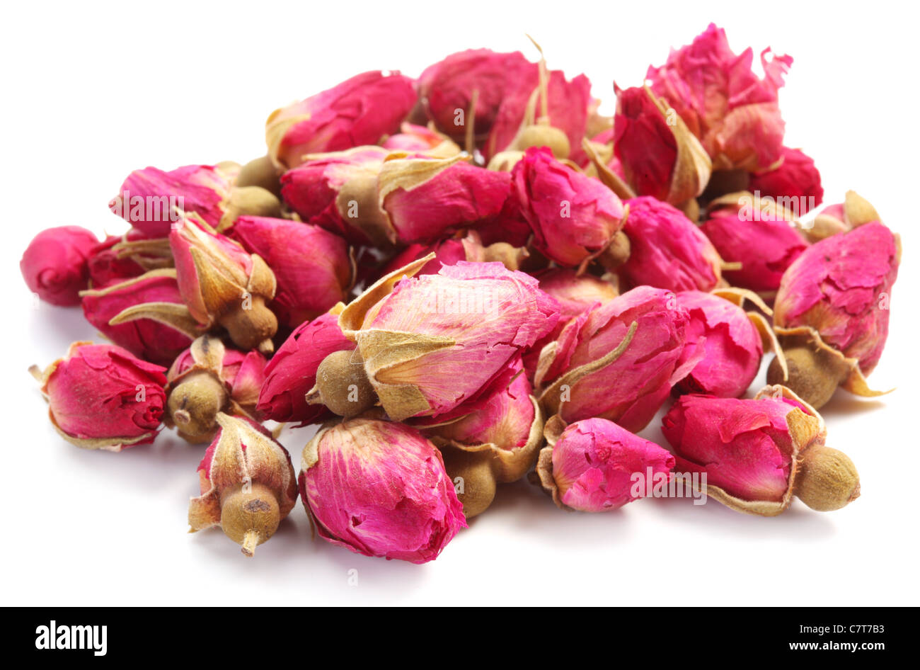 Cumulo di Tea Rose isolato su uno sfondo bianco. Foto Stock