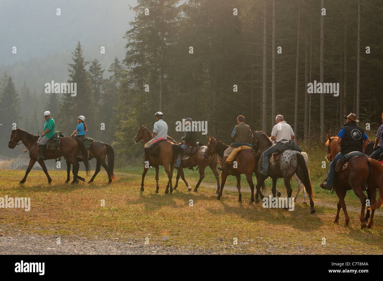 Trekking a cavallo Foto Stock