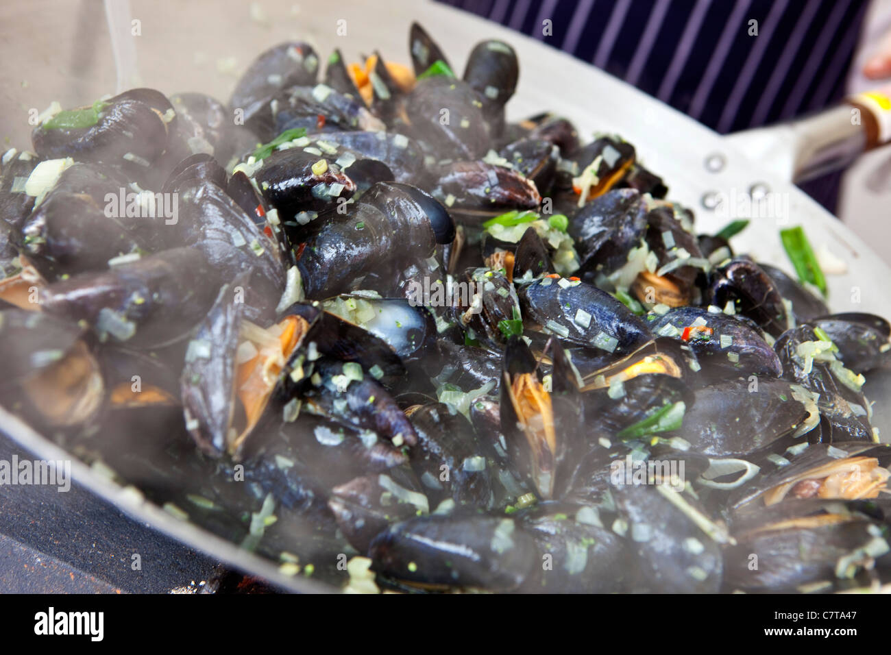 Aberaeron Cardigan Bay Seafood Festival West Wales UK Foto Stock