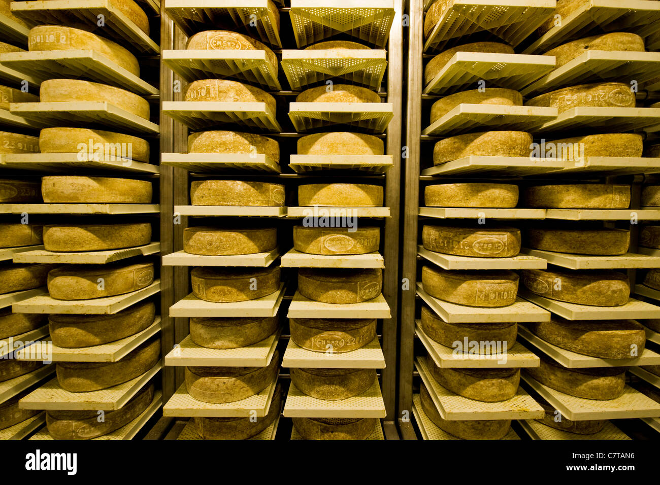 Svizzera Canton Ticino, Airolo, San Gottardo Caseificio, formaggio tradizionale Foto Stock