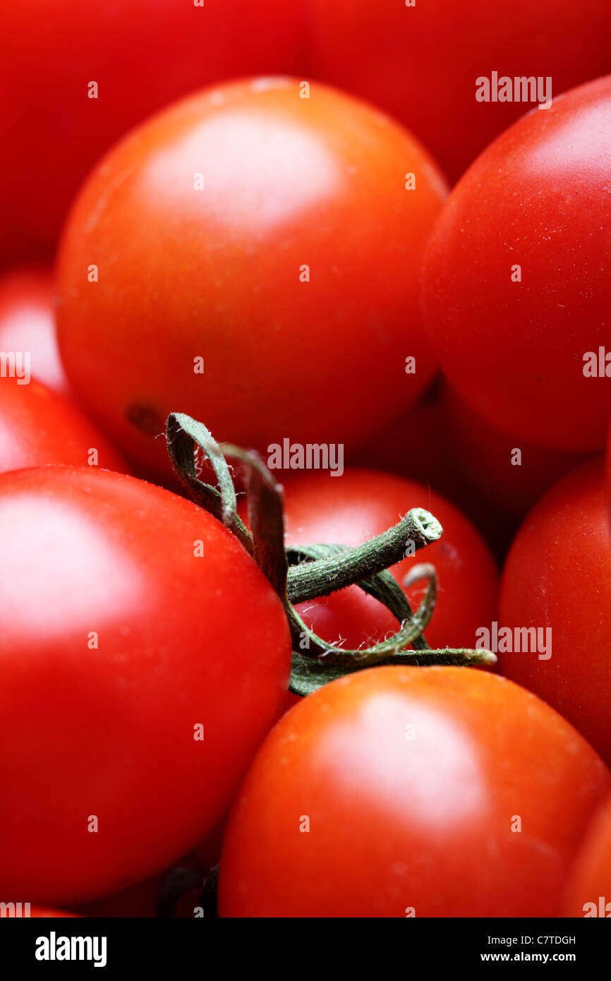 Pomodori ciliegia close up. DOF poco profondo! Foto Stock