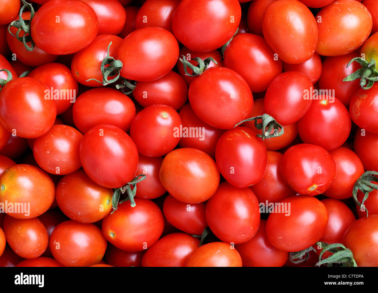 Abbondanza di pomodori, può essere utilizzato come sfondo Foto Stock
