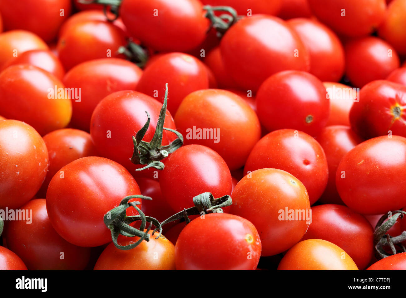 Abbondanza di pomodori, può essere utilizzato come sfondo Foto Stock