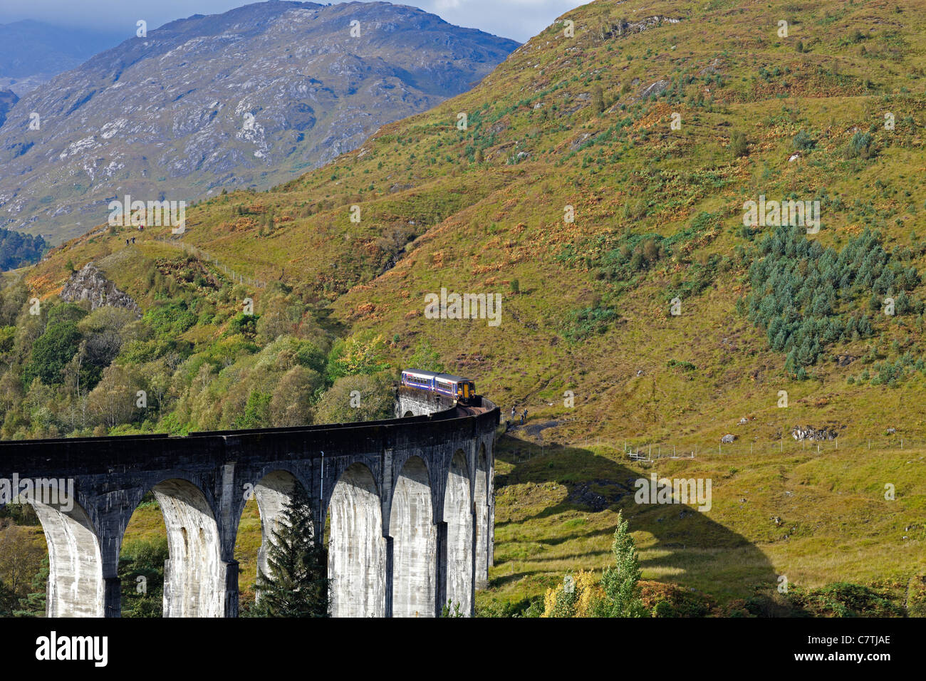 Primo Scotrail treno diesel incrocio viadotto Glenfinnan in autunno con, Lochaber Scozia UK Europa Foto Stock