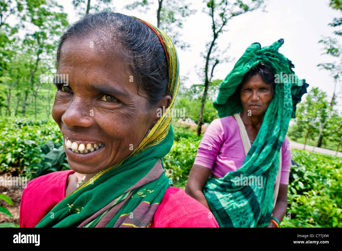 Bangladesh, Rangamati, ritratto di donna che lavorano nelle piantagioni di tè Foto Stock