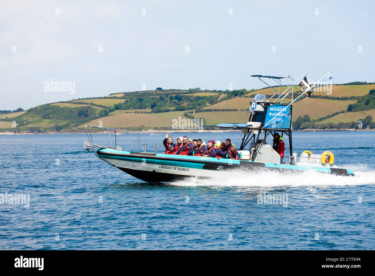 Una fauna viaggio da Orca Safari in mare da Falmouth, Cornwall Foto Stock