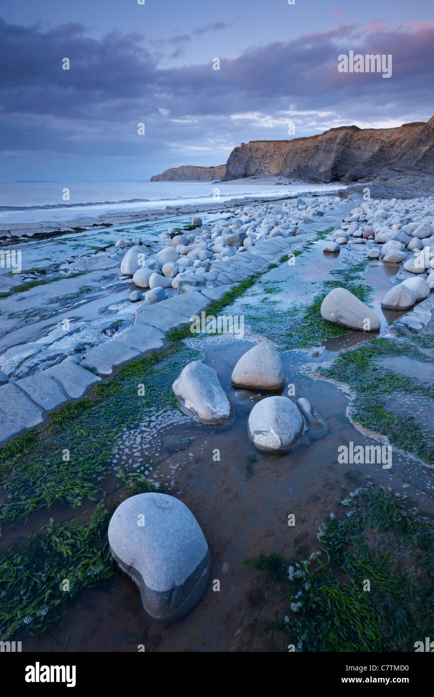 Piscine di roccia sulla spiaggia Kilve, Somerset, Inghilterra. Per il periodo estivo (Giugno) 2011. Foto Stock