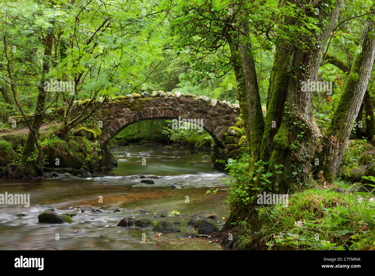Antico ponte in pietra che attraversa il fiume Bovey in legno Hisley, Dartmoor Devon, Inghilterra. In estate (Luglio) 2011. Foto Stock