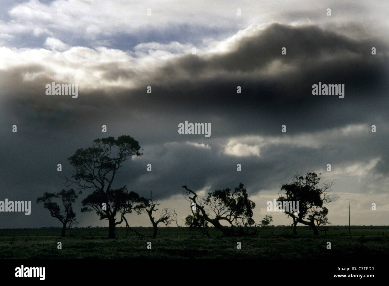 L'Australia, la Outback al crepuscolo Foto Stock