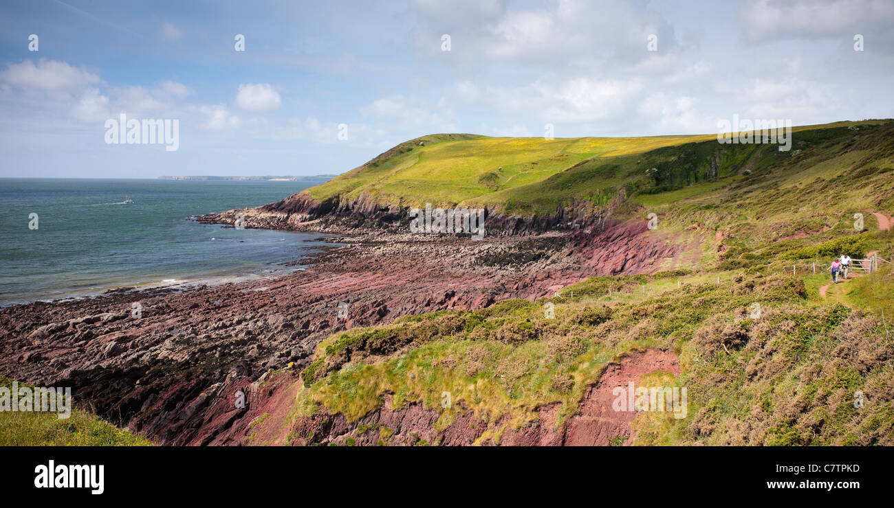 East Cliff di Moro Manorbier Pembroke Pembrokeshire Wales Foto Stock